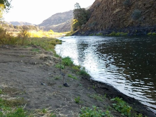Looking up the John Day River