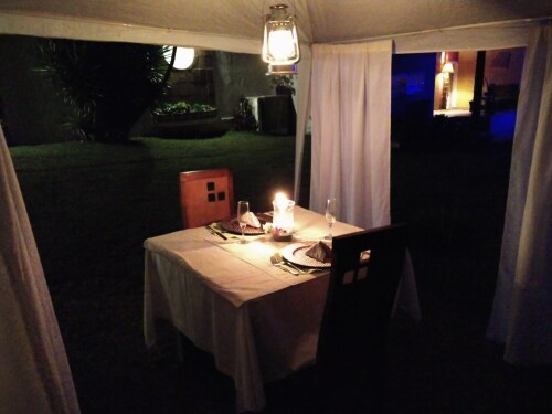 Cena romántica en el jardín