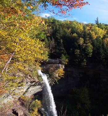 A view of Kaaterskill Falls