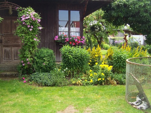 Biergarten Zum Adler Streichelzoo