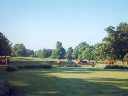 View across the croquet lawn and Ha ha to the park