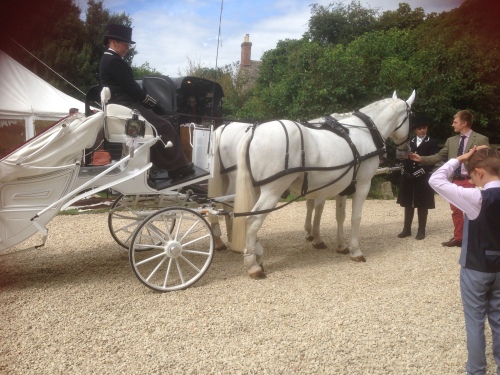 Wedding Carriage and Horses
