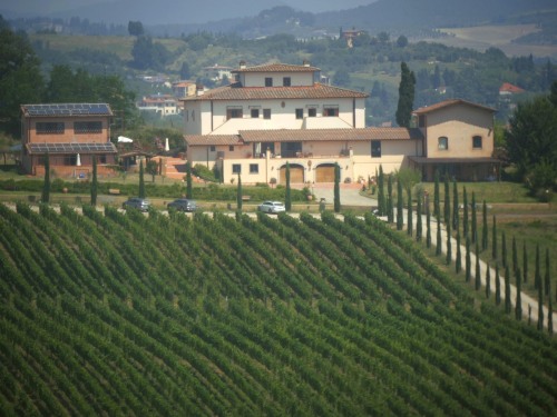 Il Borgo e le sue vigne