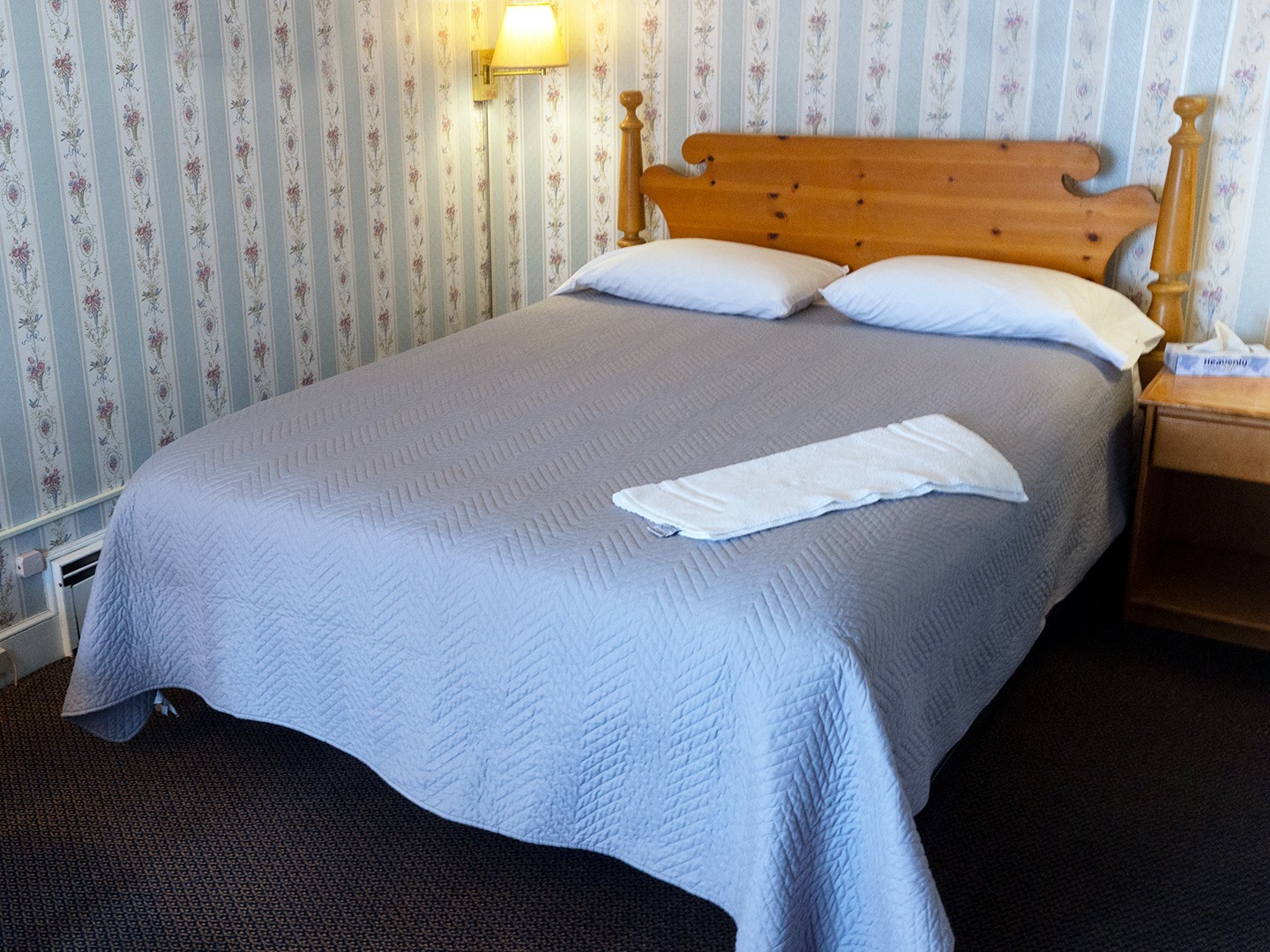 Single room-Ensuite-Standard-3 Chestnut