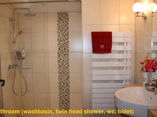 Bathroom (washbasin, twin head shower, wc, bidet)