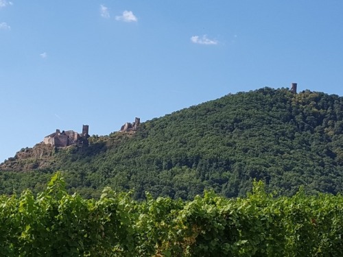 Les 3 Châteaux de Ribeauvillé