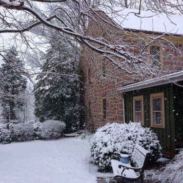 Property Grounds in Winter