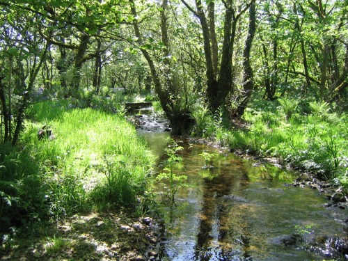 Mennabroom riverside walk