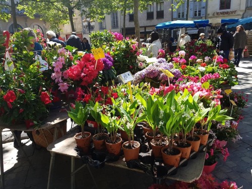 Flower seller at the Saturday morning market, Place Carnot