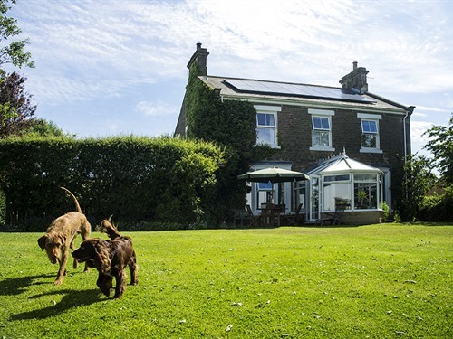 Dowfold House Luxury Bed and Breakfast - dogs love it here