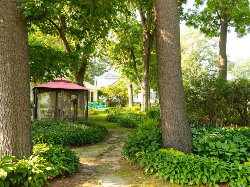 Steps away from guest rooms outdoor netted dining in backyard gardens under giant Bur Oaks.