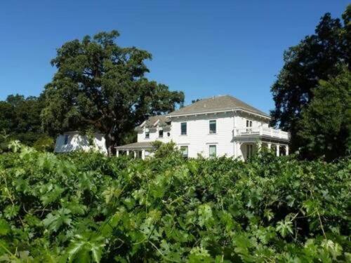 Inn View from the Vineyard