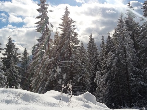 Winterimpression