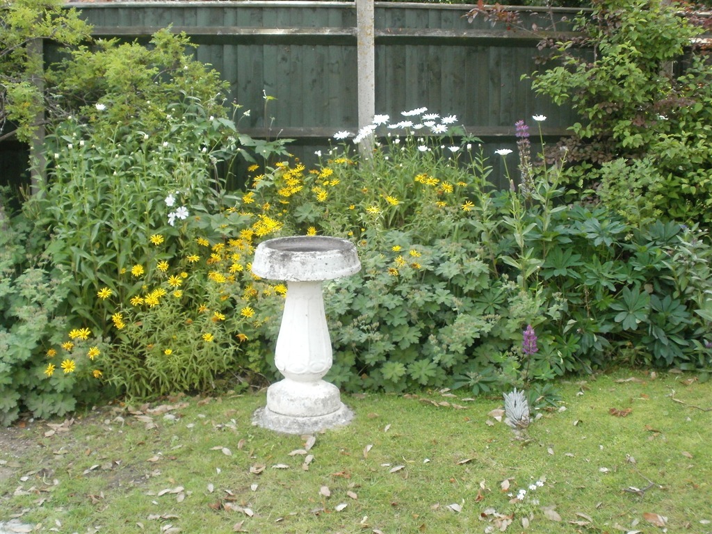 Part of garden