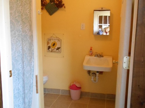 The bathroom, with shower, is downstairs.