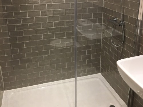 Superior Room shower