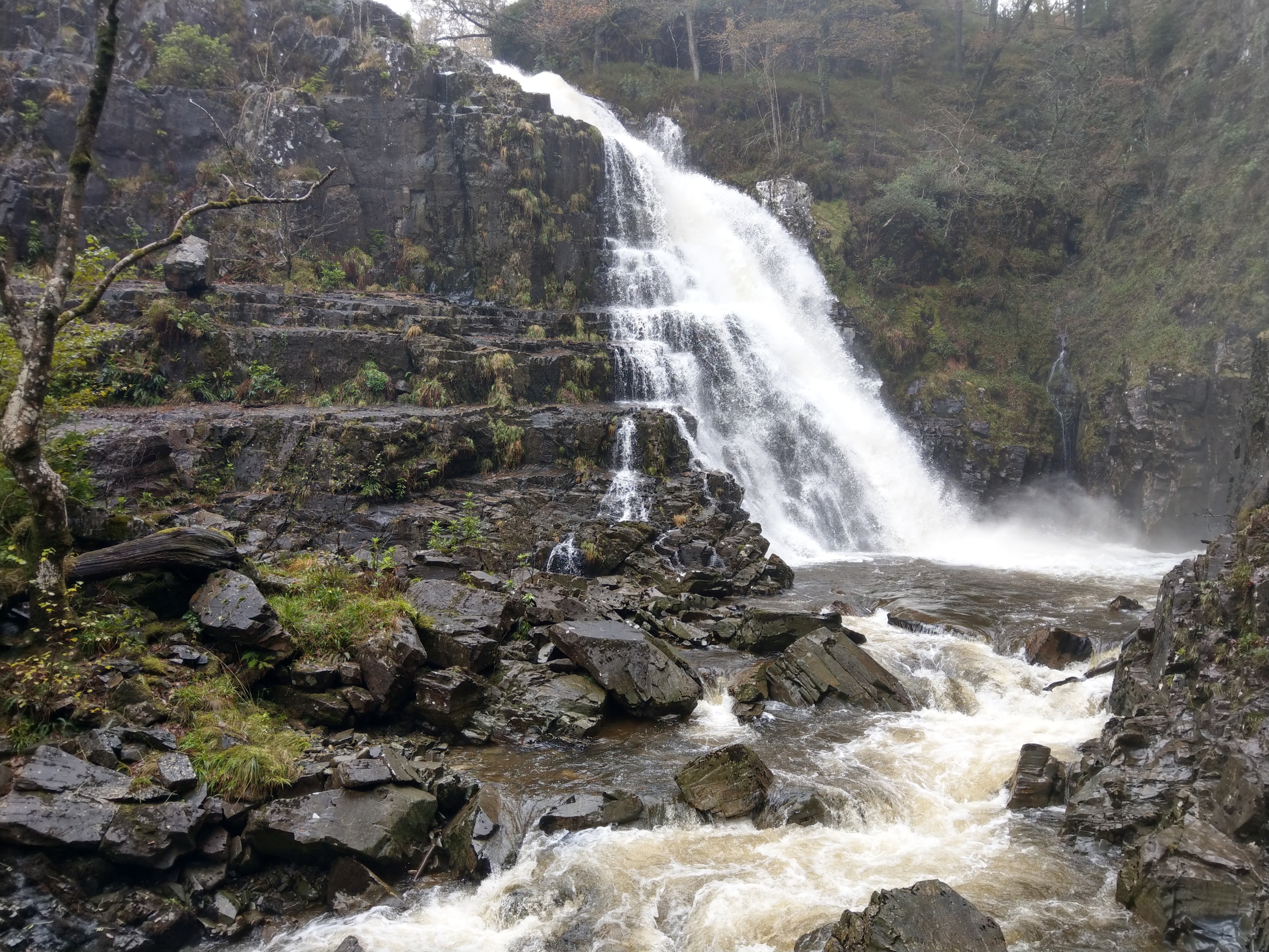 Gwynfynydd Goldmine Waterfall