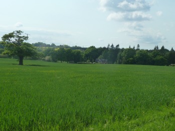 Exterior - Greenfields Cottage