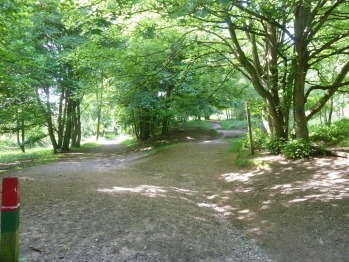 View From Property - Cannock Chase Forest