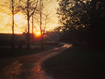 Sunset on the path to the lodges
