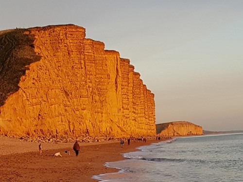 East Cliff at Sunset