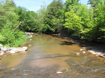 Creek View