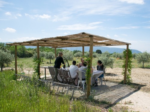 Repas sous la tonnelle