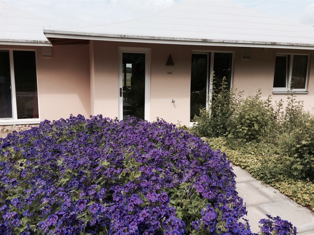 Einzelzimmer-Standard-Ensuite Bad-Kalatifa - Basistarif