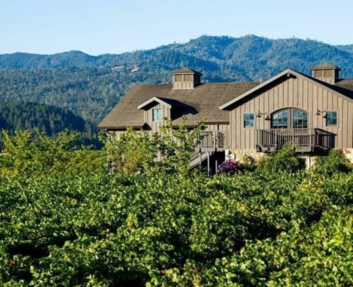 Tasting Room & Vineyard