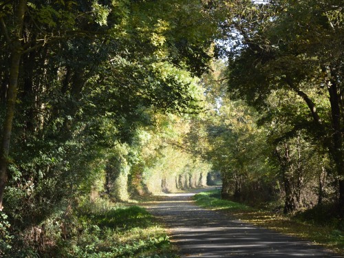 Les bords de la Vienne à 200 métres de La Pénesais