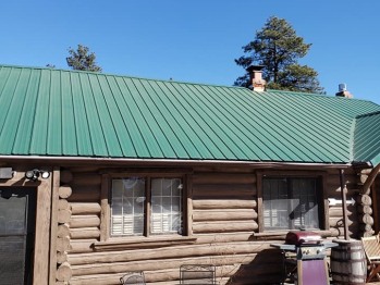 Bonanza Cabin