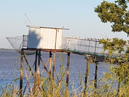 Promenade au bord de l'Estuaire de la Gironde