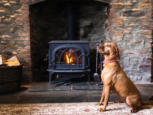 Tara by the fire
