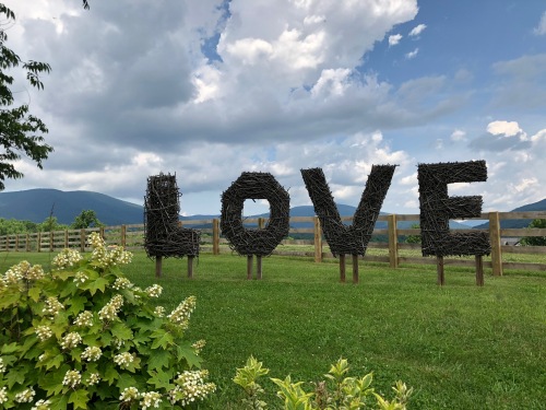 Take your photo with the Montfair Love Sign!