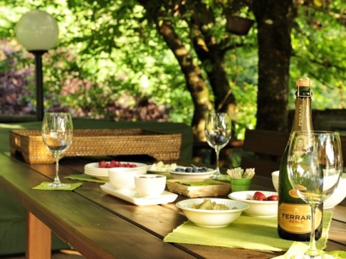 Aperitivo in giardino