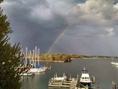 Harbor Rainbow