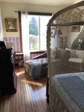 Sun-Lit Suite