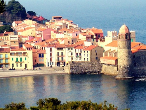 Le ravissant port de Collioure à 15' d'Ortaffa par la voie rapide.