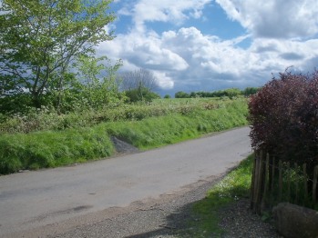 View From Property - Russellstown Cottage Roadside View