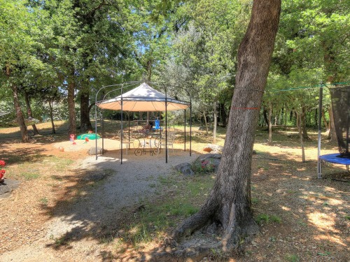 ping-pong behind the arbor