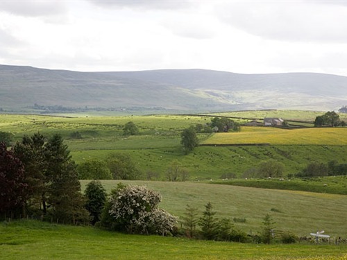 'Pennine Fells'