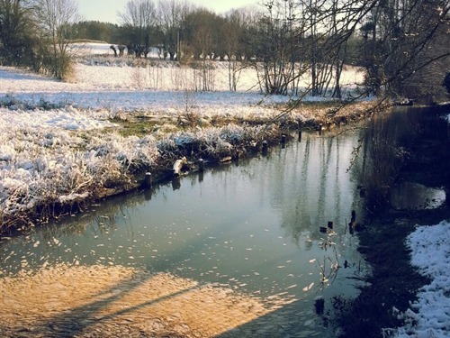 Le ruisseau en hiver