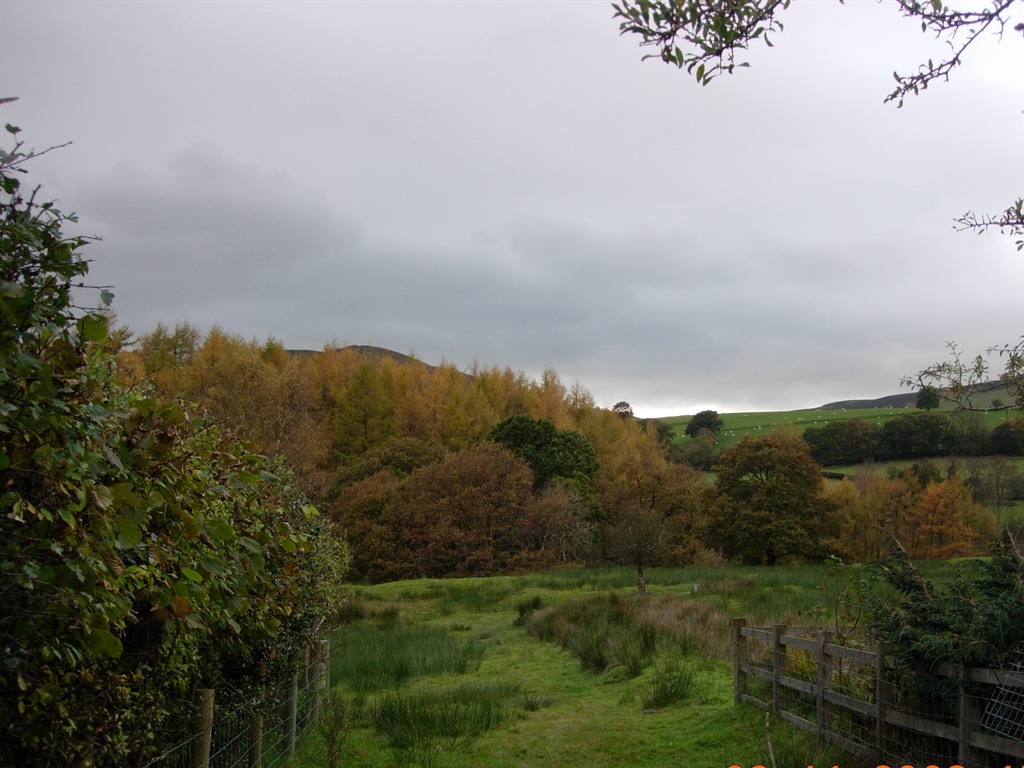 The Old School House, Llanbrynmair | Homepage