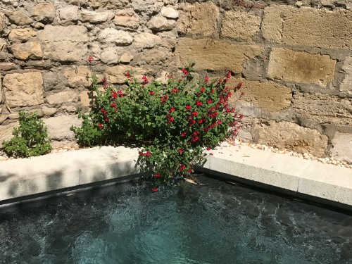 Fleurs