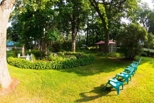 Sitting enjoying the natural sunshine is a suitable activity.  Area in backyard under the aged Bur Oak trees.