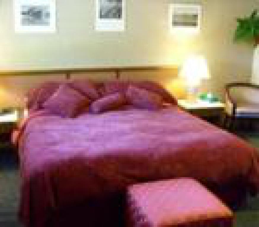 Double room-Ensuite-Standard-King Room 1 Bed - Base Rate