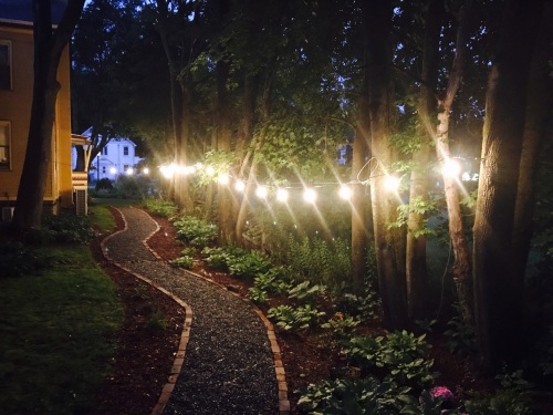 Rear garden and path at night