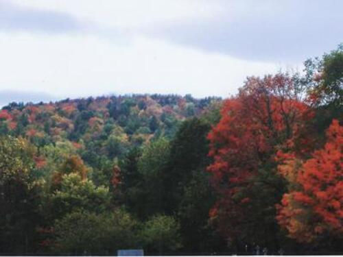 The colors of autumn can be brilliant in New England and in Sturbridge.  Our boutique hotel faces Stallion Hill, a beautiful sight in the Fall.