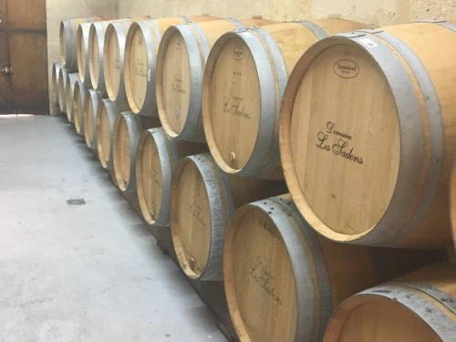 Visite du Domaine les Sadons, plus petit viticulteur en AOC Pauillac