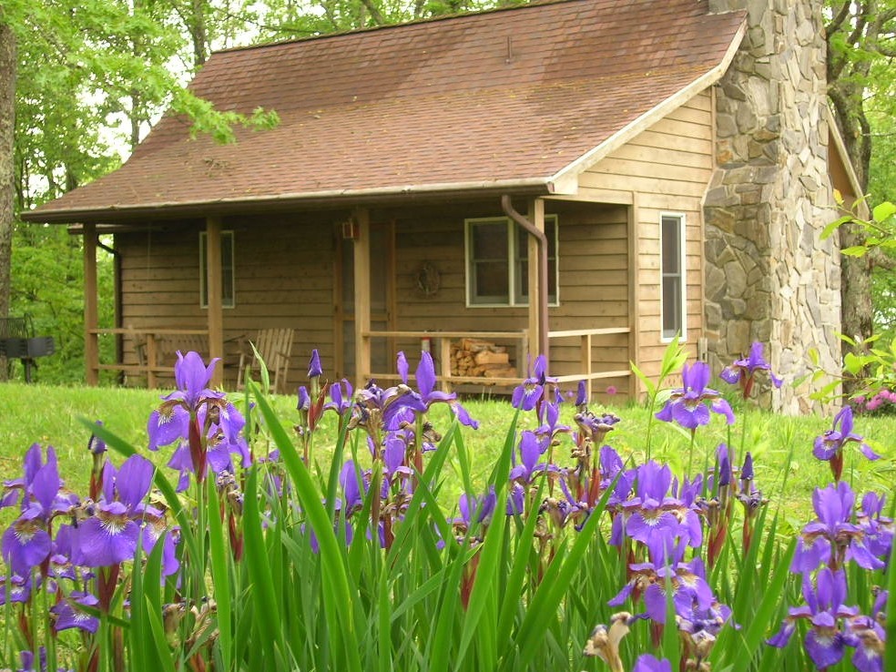 Blue Moss Cabin